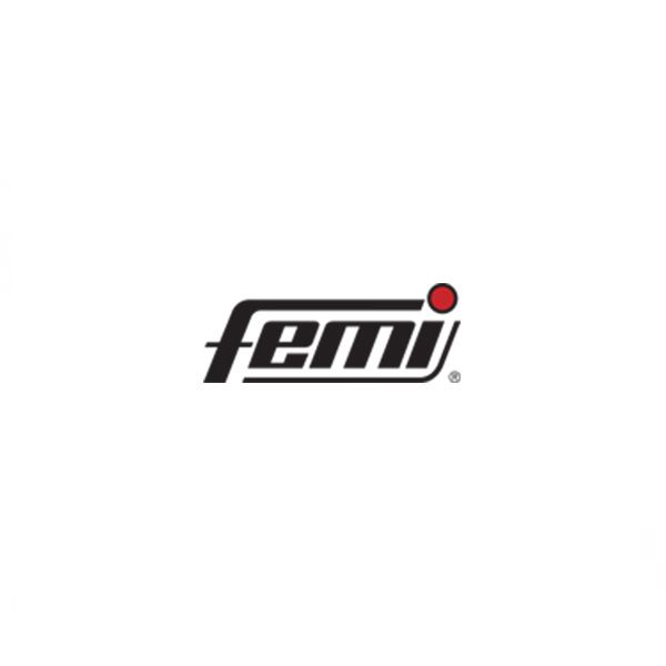 FEMI 
