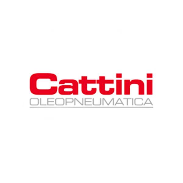 Cattini